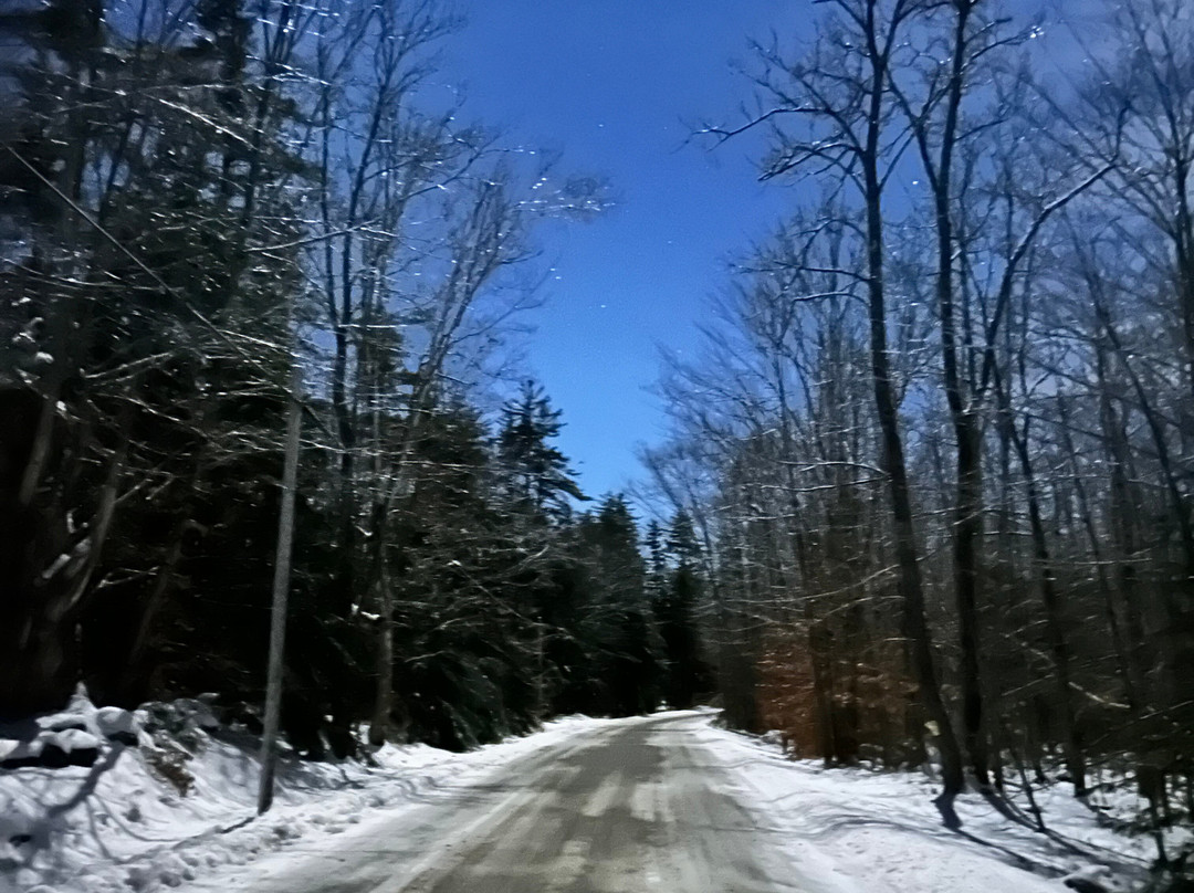 Orchard Farmhouse NH主图