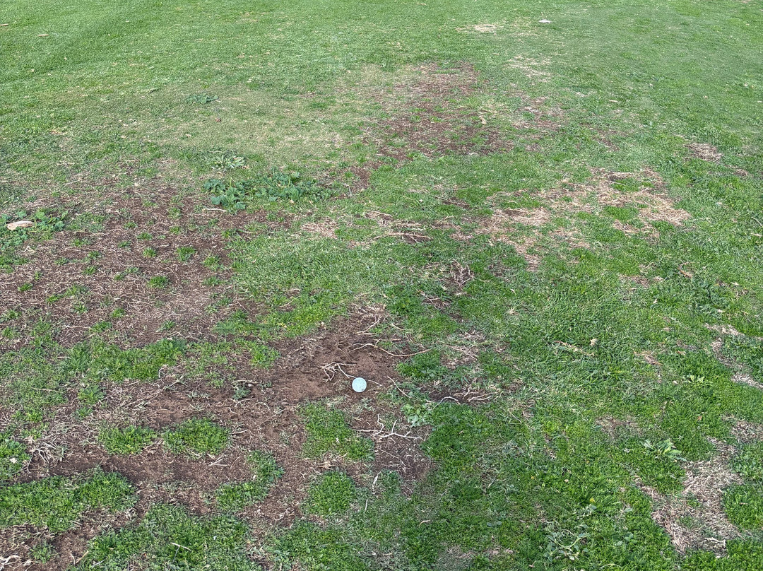 Costa Teguise Golf-科斯塔特吉塞必去景点