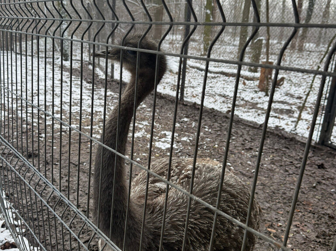 Szeged Zoo-塞格德必去景点