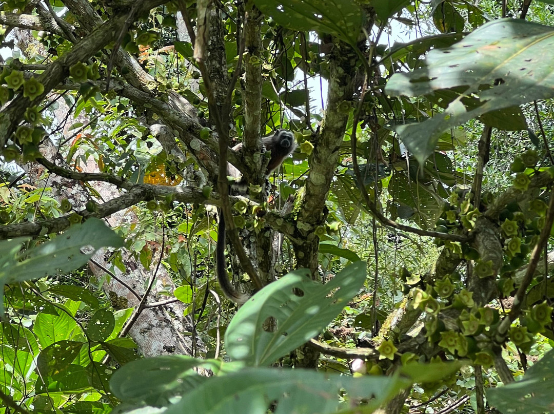 Esmeralda Ecotours San Rafael-San Rafael必去景点