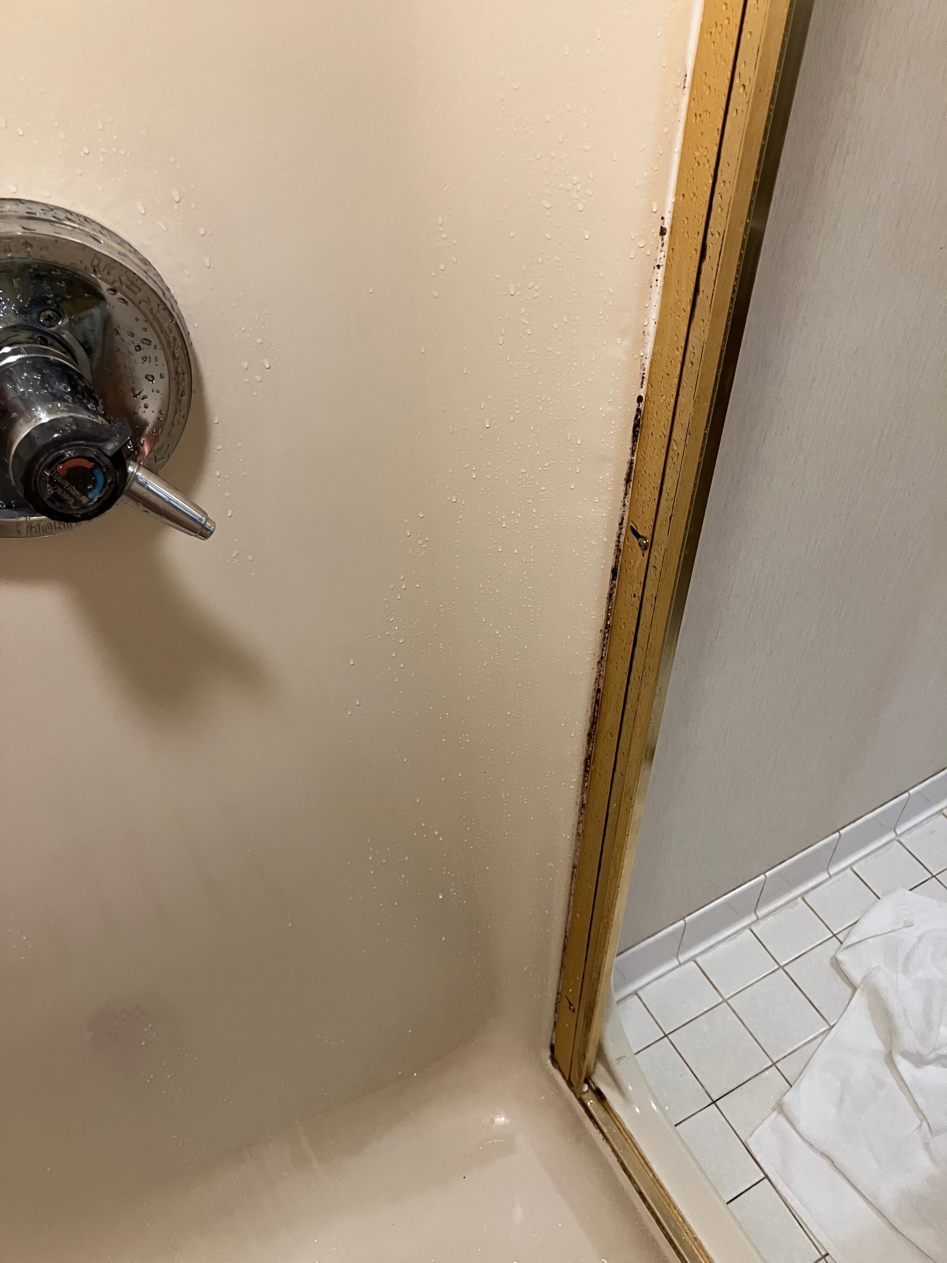 亚德金维尔温德姆戴斯酒店-浴室