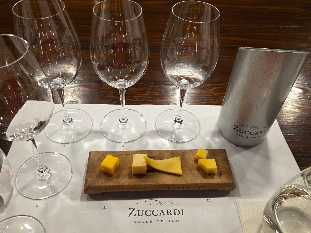 Bodega Zuccardi Valle de Uco-La Consulta必去景点