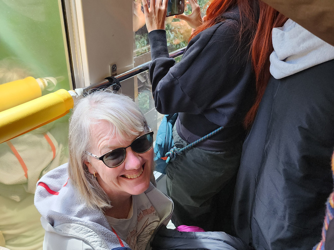 Miyajima Ropeway-廿日市市必去景点