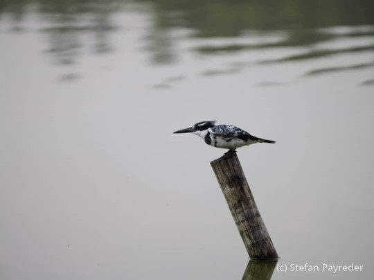 Bale Trek Ethiopia Tours-Goba必去景点