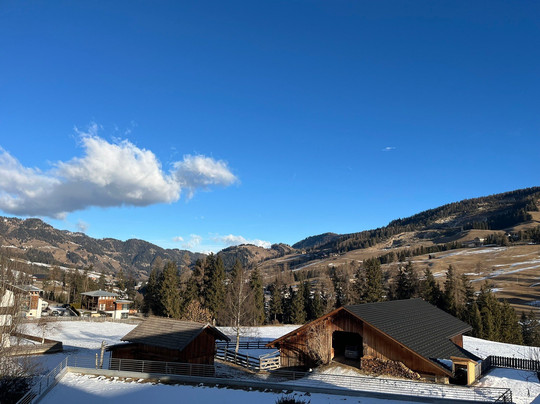 Hotel Des Alpes主图