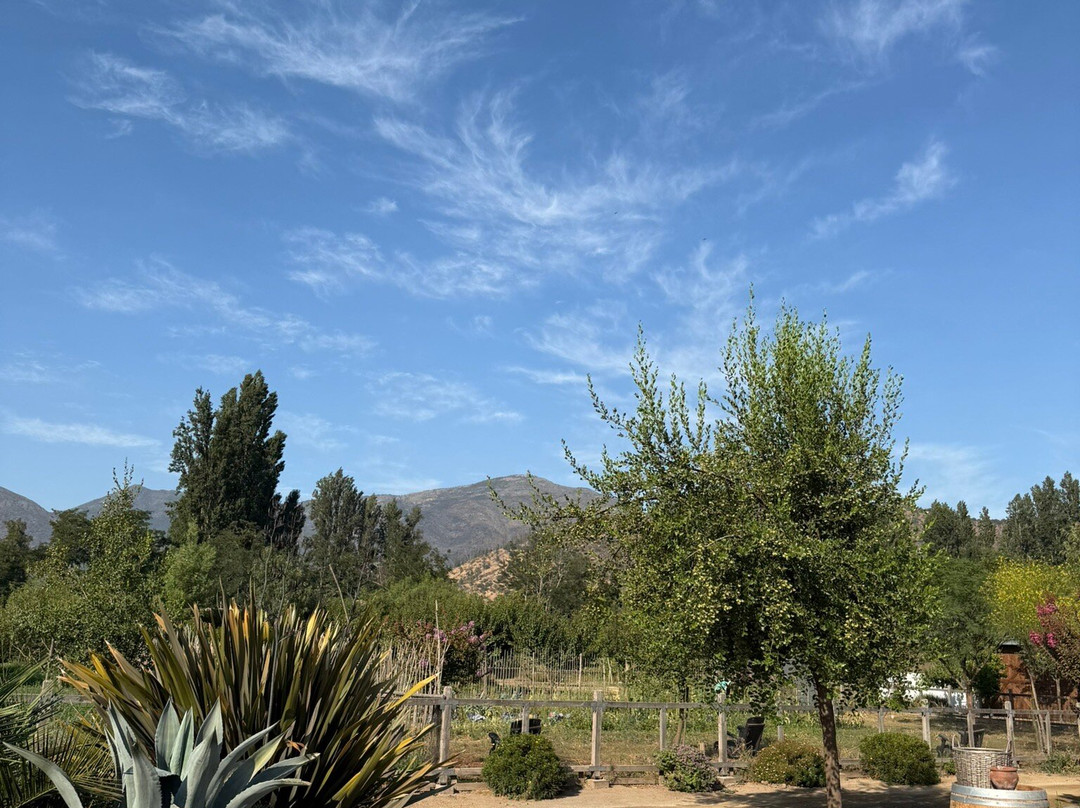 Campo La Quirinca-Isla de Maipo必去景点