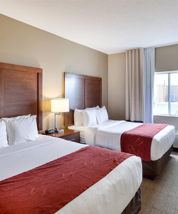 舒适套房林肯北酒店图片