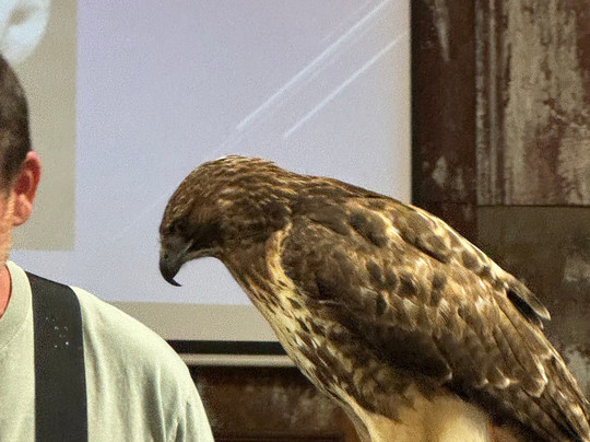 Hawk Manor Falconry-Lillington必去景点