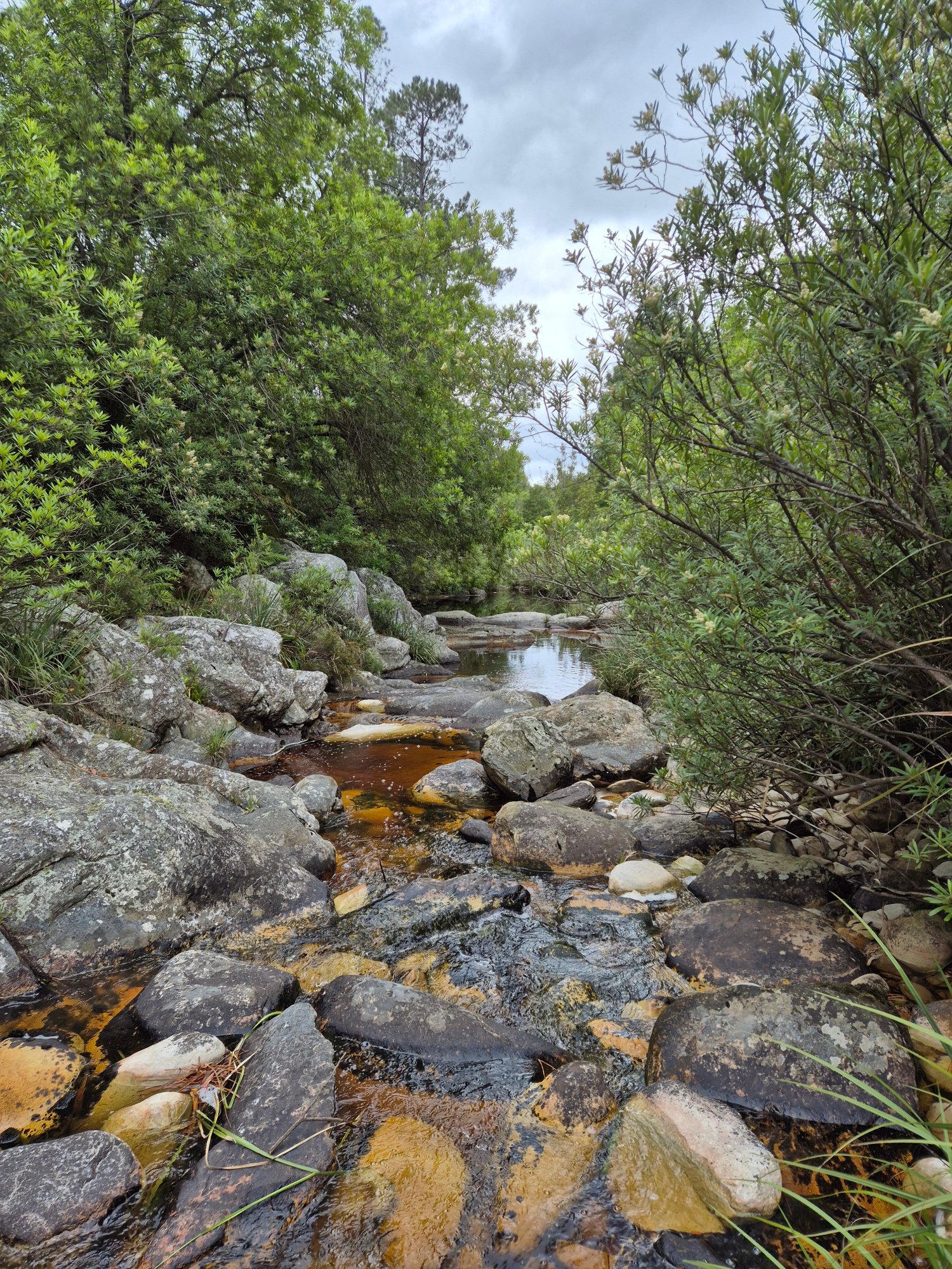 Tsitsikamma Lodge & Spa-官方