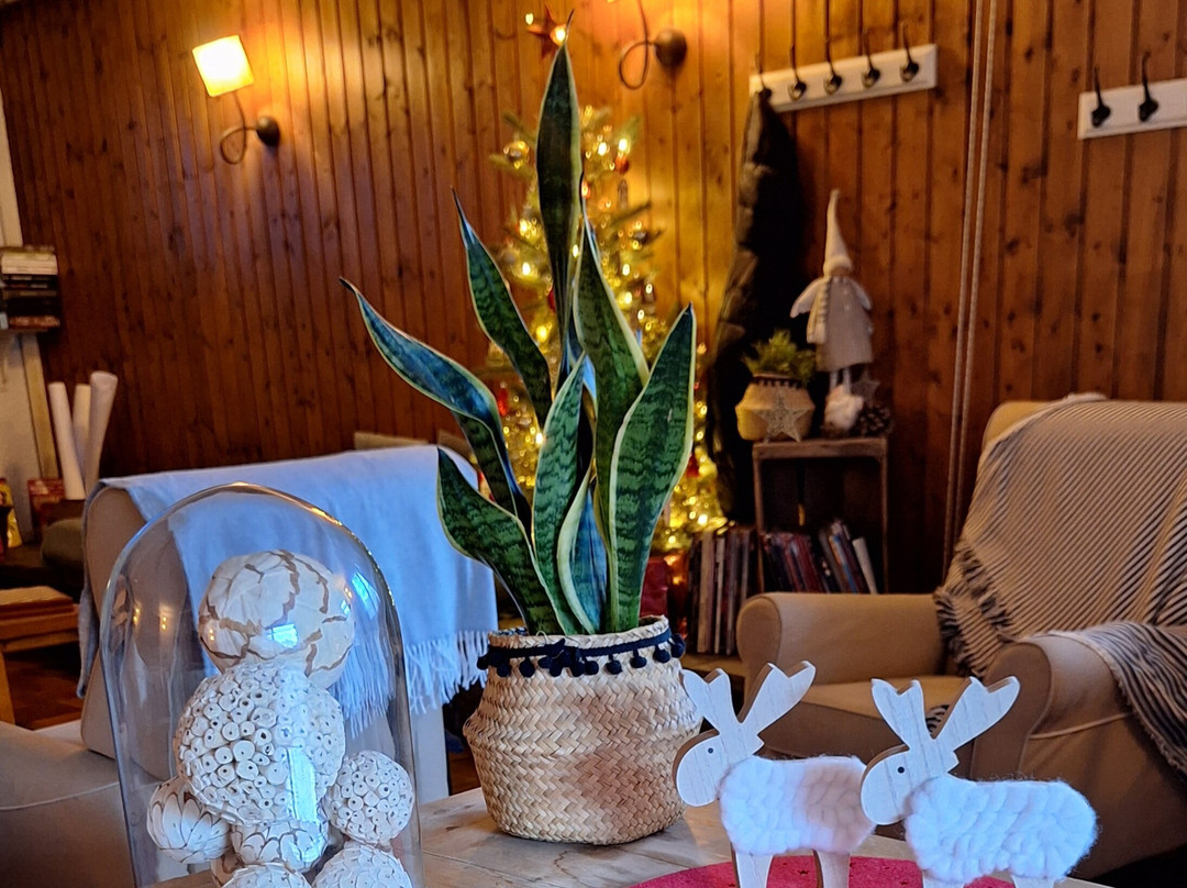 埃德维斯酒店主图