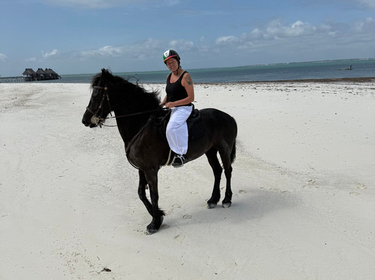 Royal Stable Zanzibar-米查维必去景点