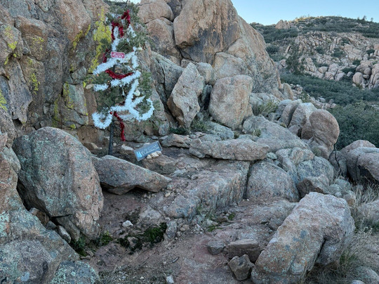 Constellation Trails-普雷斯科特必去景点