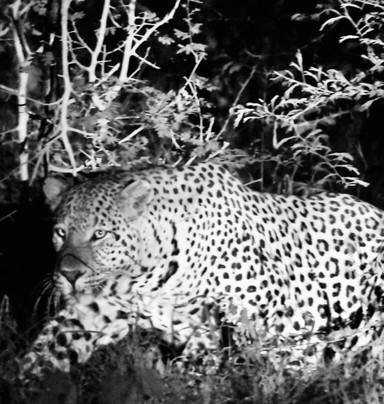 EverseenAfrica-霍德斯普鲁特必去景点