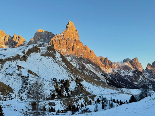 Hotel Alpenrose主图