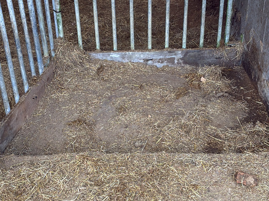 Ponyzeit Hof Bartelsen