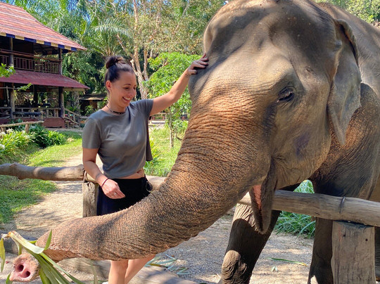 Khao Sok Elephant Sanctuary-拷索国家公园必去景点