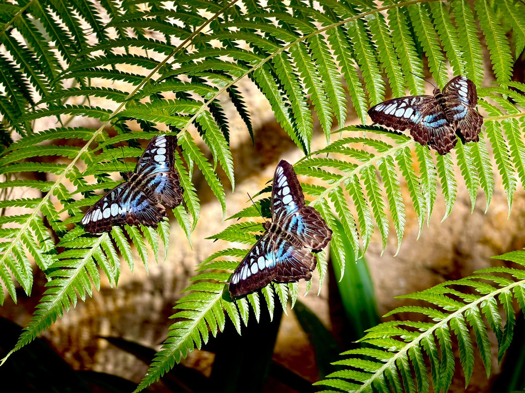 蟲鳴大地-巴巷海滩必去景点