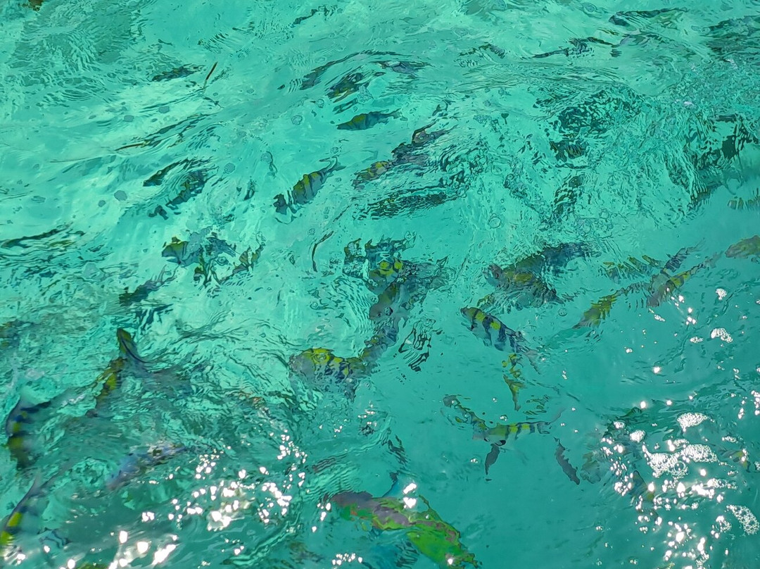 Dallaman Zanzibar-Matemwe必去景点