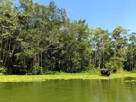 Lake Limoncocha-Tena必去景点