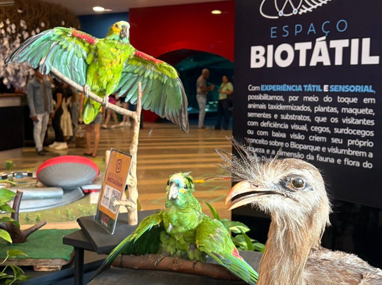 Bioparque Pantanal-大坎普市必去景点