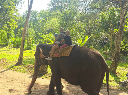 Ceylon Hunt-赛杜瓦必去景点