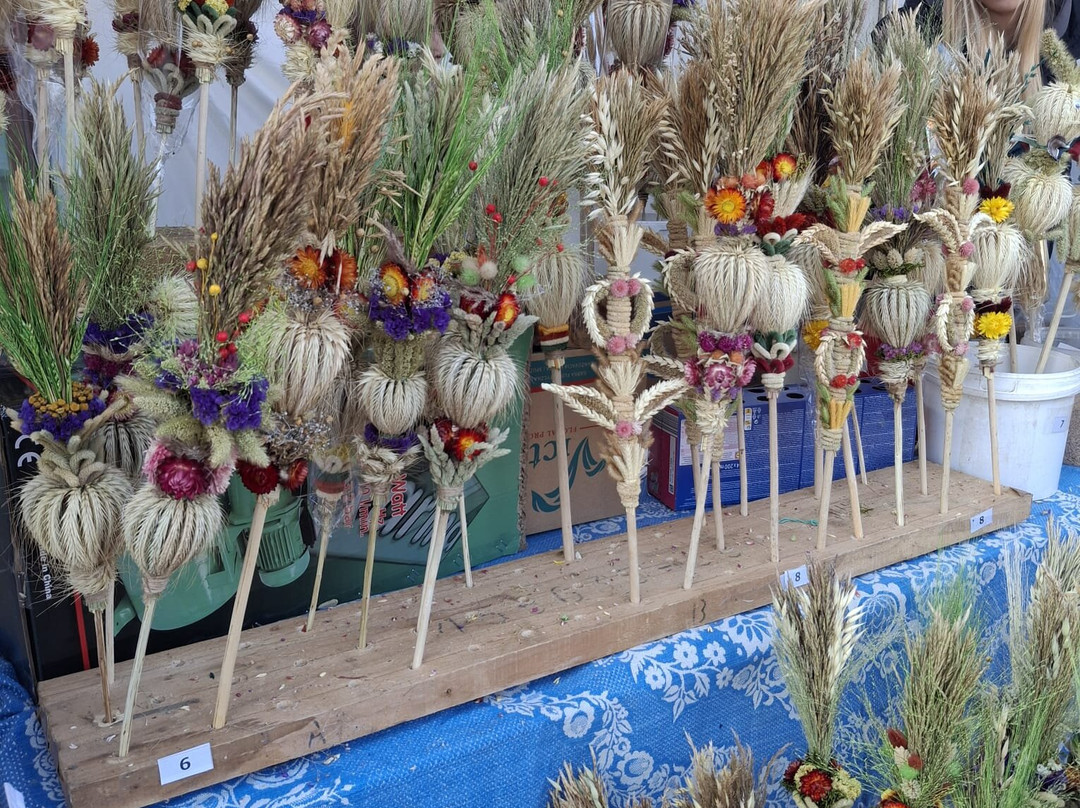 Vilnius Cathedral Square-维尔纽斯必去景点