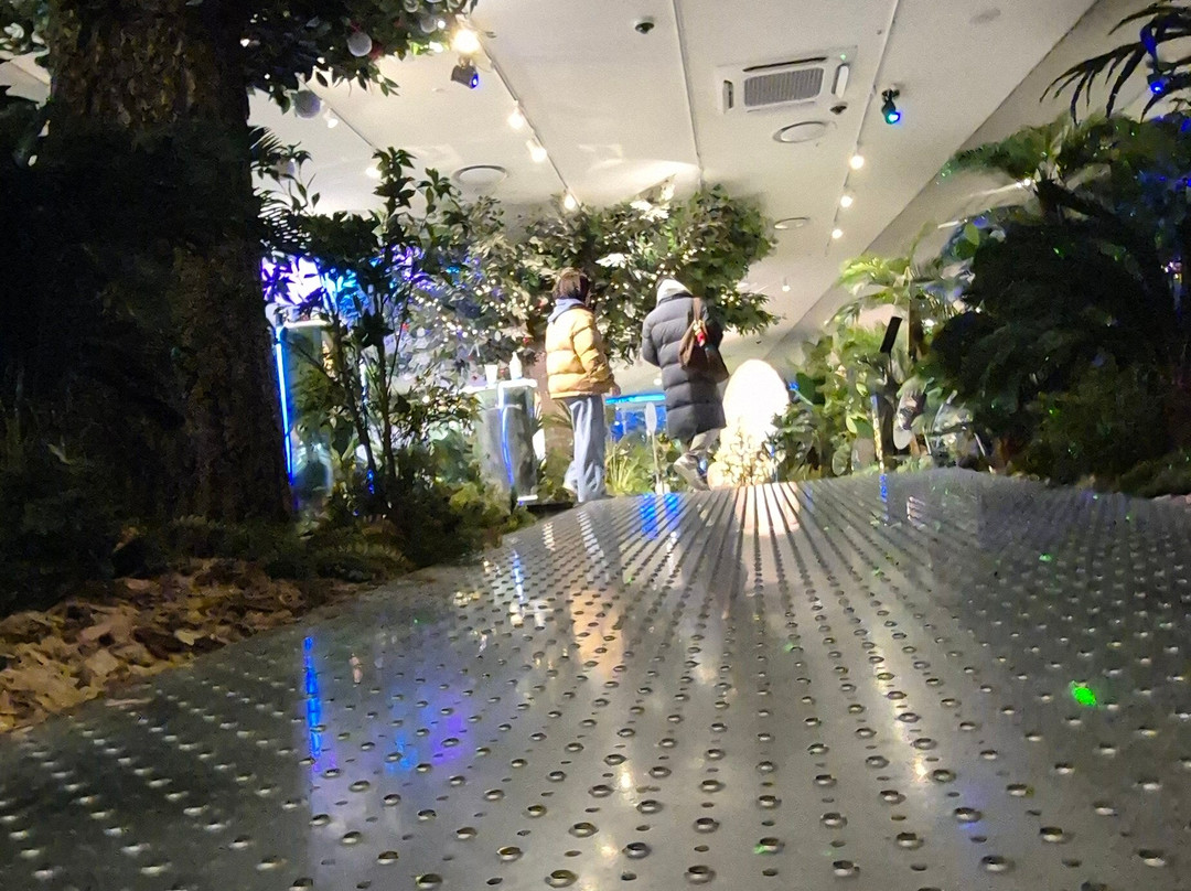 B The B-首尔必去景点