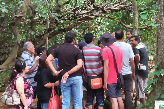 Kosgoda spice Garden 777-科斯戈德必去景点