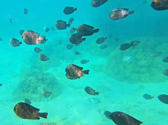 Karlos Excursions-莫纳山必去景点