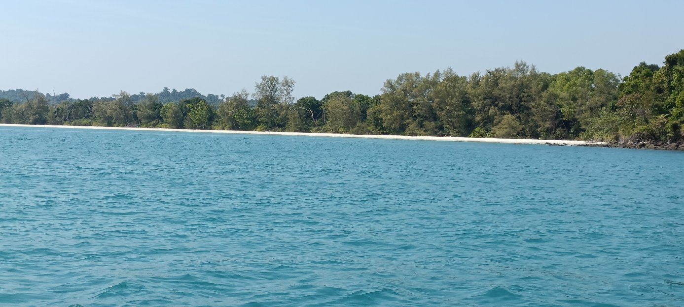 The Last Point-官方