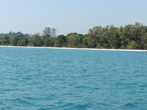 The Last Point主图