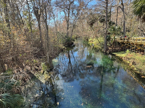 Silver Springs State Park-Silver Springs必去景点