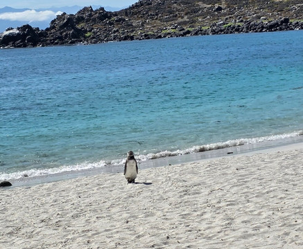 Ecoturismo La Serena-拉塞雷纳必去景点