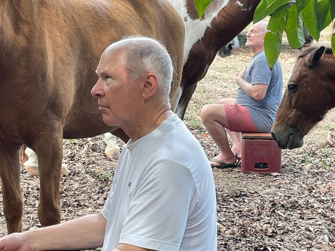 Horse Spirit Healing-Cabuya必去景点