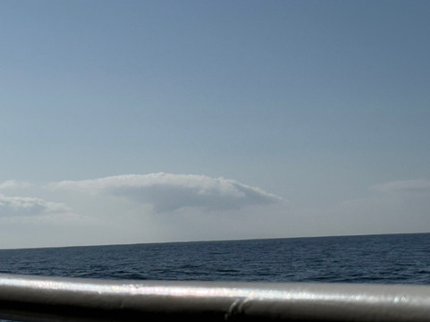 蒙特雷湾观鲸之旅-蒙特雷必去景点