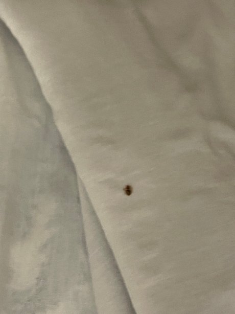 Boarders Inn & Suites In Fayette-官方