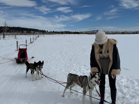 Call of the WYld Dogsled Tours-提顿村必去景点