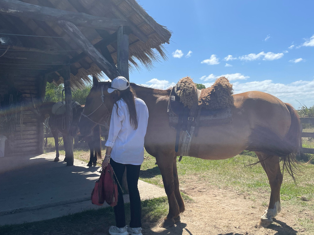 Cabalgatas Valiceras-Valizas必去景点