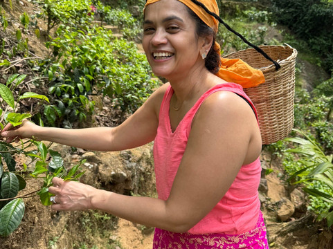 NK Lanka Holiday Tours-卡图纳耶克必去景点