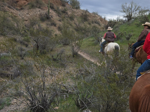 Arizona Horse Company-Wickenburg必去景点