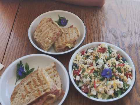 Forest Fiends Urban Farm-Vredenburg必去景点