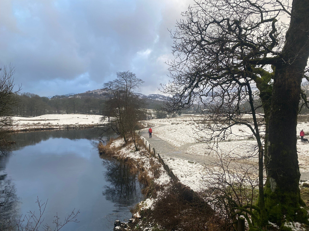 斯科尔维斯大桥酒店主图