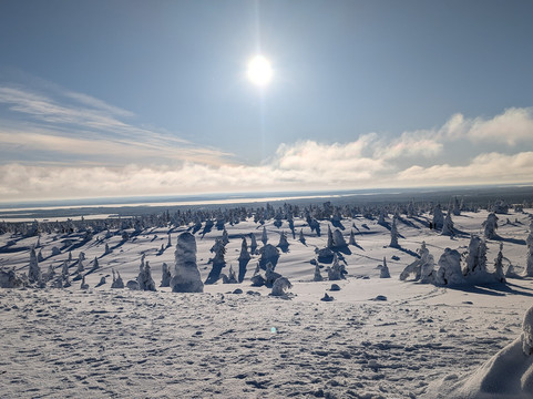 Lupland Adventures-Ranua必去景点
