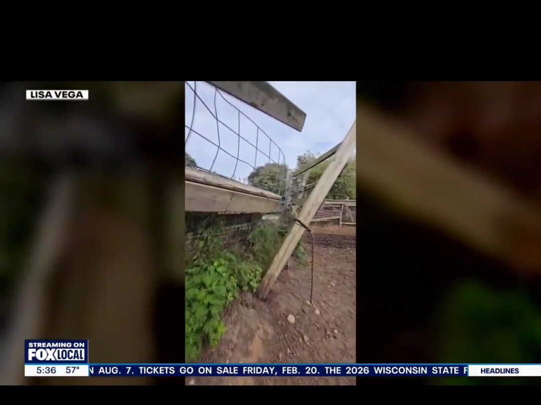 Friesian Herd Experiences-Mukwonago必去景点