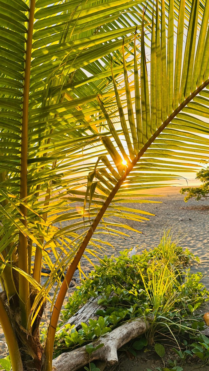 梦幻满足住宿加早餐旅馆-官方