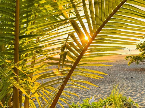 梦幻满足住宿加早餐旅馆主图