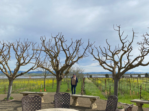 Jacuzzi Family Vineyards-索诺玛必去景点