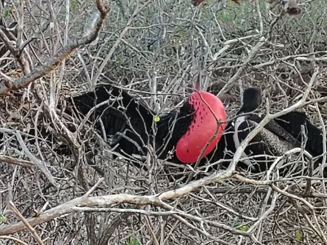 Fragata Yacht-Baltra必去景点