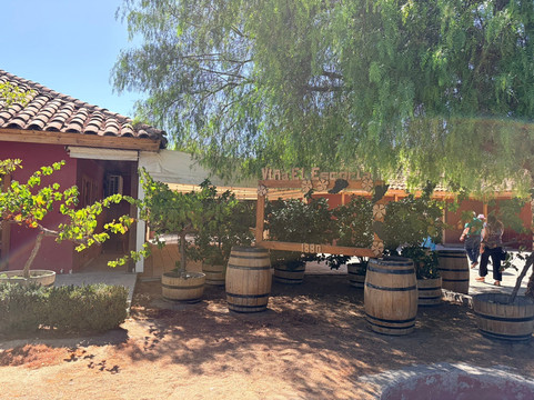 Vina El Escorial de Panquehue-San Felipe必去景点