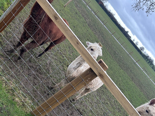 Monk Park Farm-Bagby必去景点